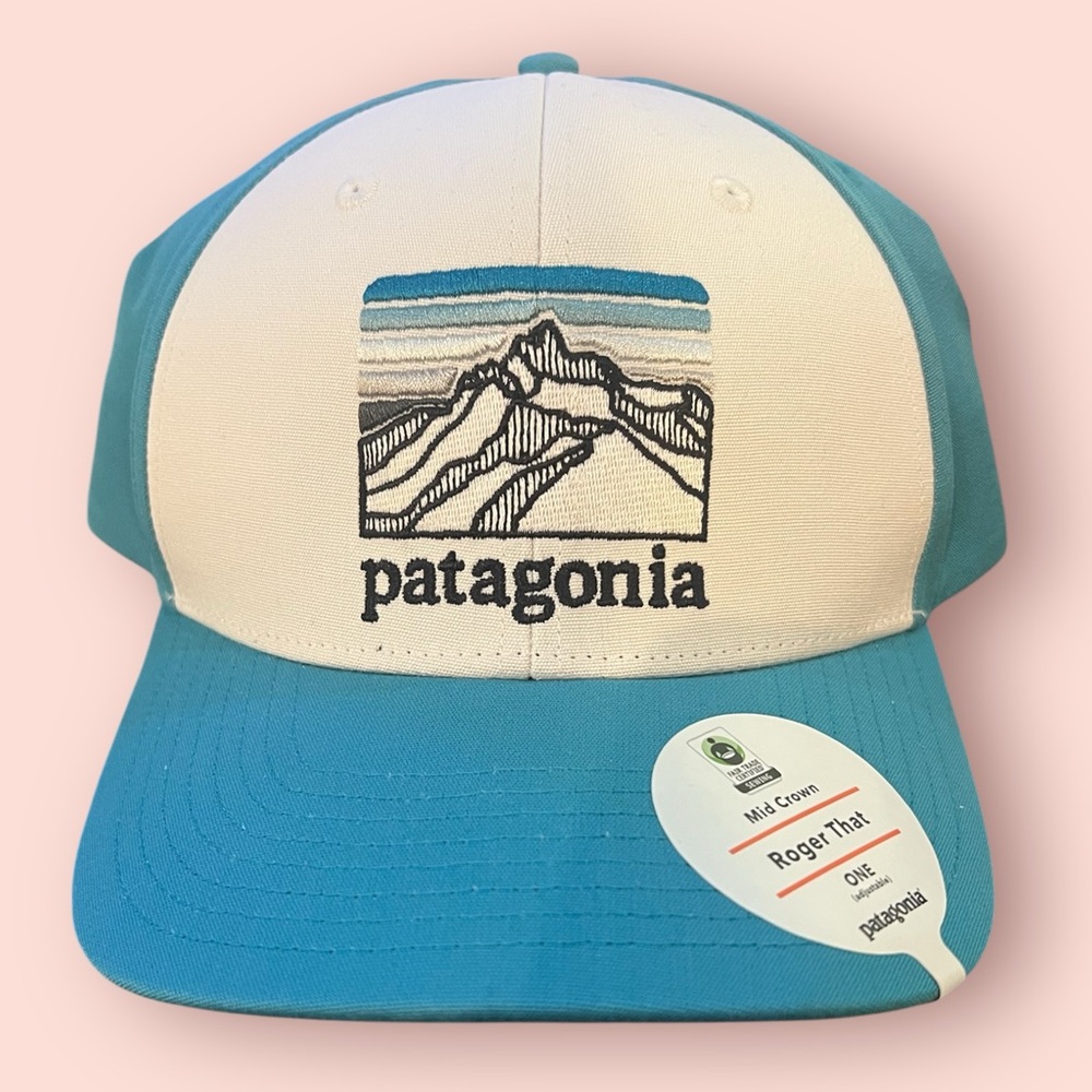 Patagonia Line Logo Ridge Trucker Hat (Roger That)